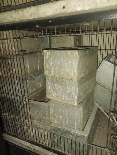 Metal Food Boxes for Birds