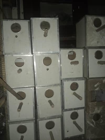 Pilay Breeding Box for Birds