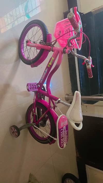 pink cycle