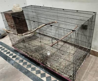 parrots cage