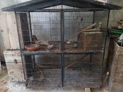 ideal cage, sai ka banna hua hai ,