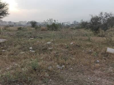 Plot For Sale In Islamabad Cda Sector I14 Sector 50 Feet Road With Extra Land