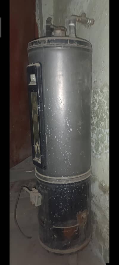 Ravi Gass/LPG Gyser full size