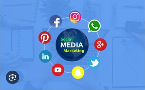 Urgent need female office work social media marketing 03263556171