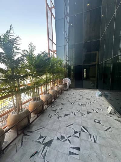 Rented Shop Available On SaleLocated At Prime Location In I-8 Markaz Islamabad