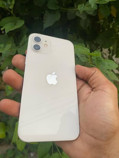 Iphone 12 white color