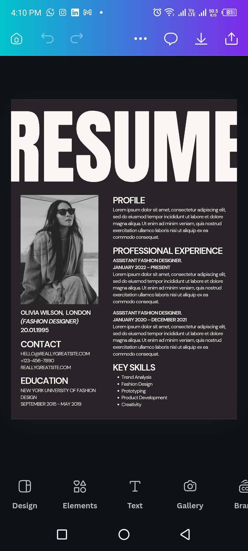 Professional Cv Resume & Cover letter service 03319099129 2