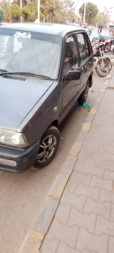 inner and outer totally genie colour in genie seal's