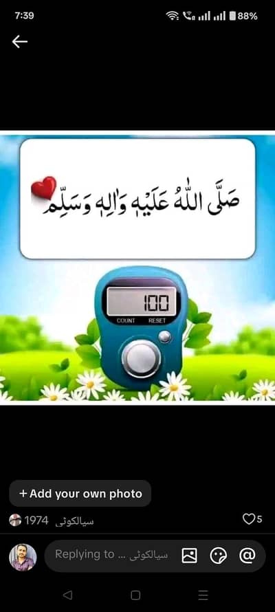 cook  required full time , khna or rehish