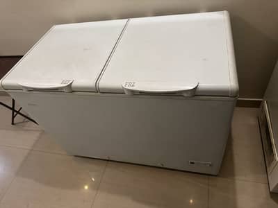 Haier D freezer