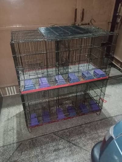 master 6 portion cage