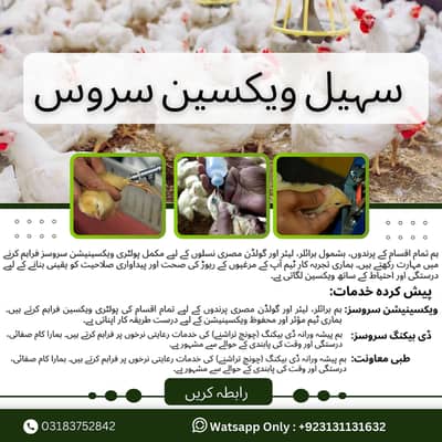 سہیل ویکسین سروس