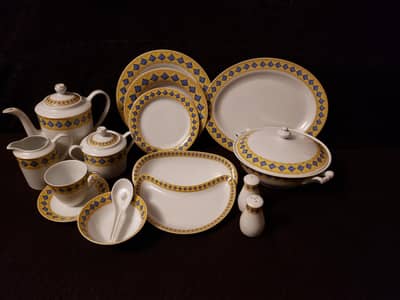 Beautiful Branded Dinner Set  (France)