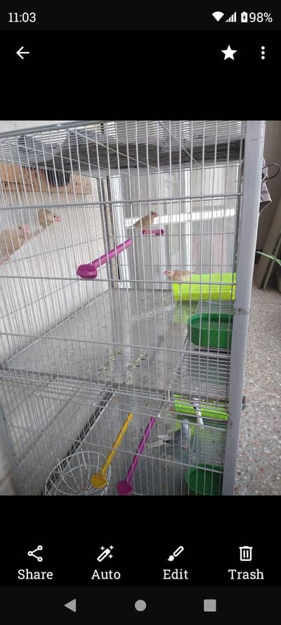 Cage /Heavy Angle With Galonize Steel Almost New