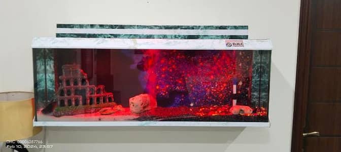 Aquariums/Aquariums For sale/Fish Aquariums/Fishes for sale