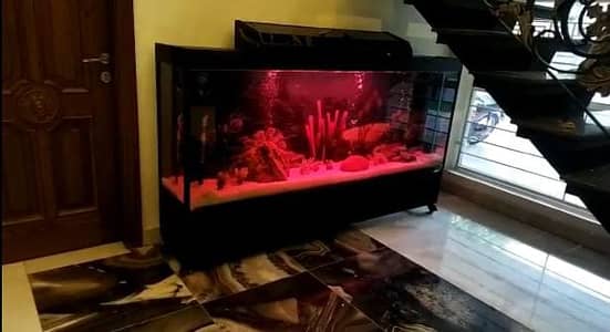 Aquariums/Aquariums For sale/Fish Aquariums/Fishes for sale