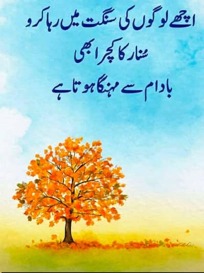 safai aur chowkedari Job