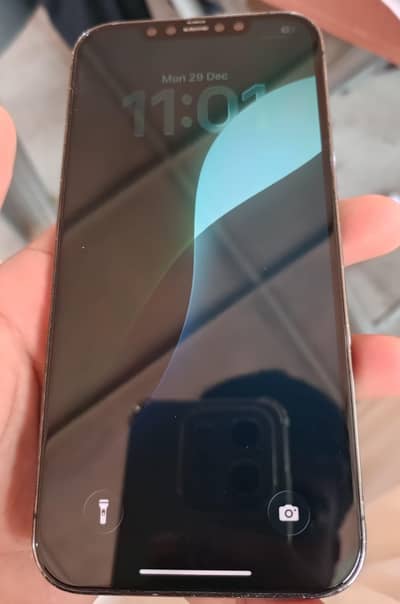 12 pro max 128gb total genuine non pta