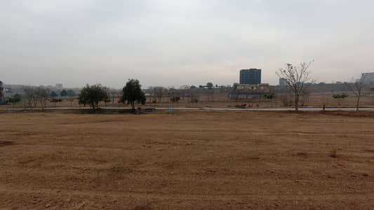 145 Feet Front Double Gate Approval