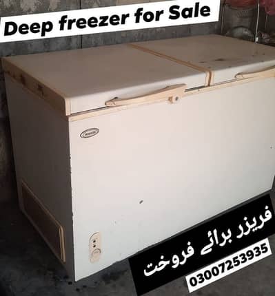 Waves Deep Freezer