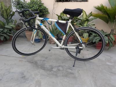 Triace American road bike