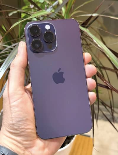 Iphone 14 pro max 256gb pta approved