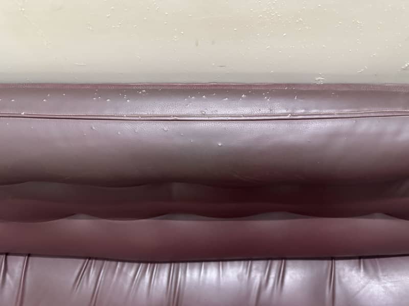 Sell single bed & sofas 7