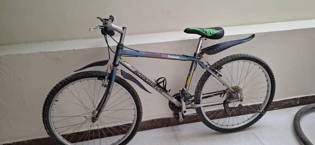 Panasonic (Mountain Cat Series)