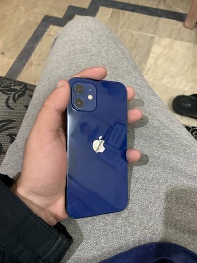 Iphone 12 pta approved