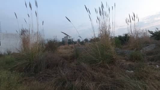 Residential Plot Available For Sale In Zamar Valley