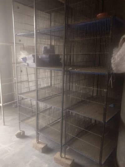 Pinjra (Bird Cages) & Accessories