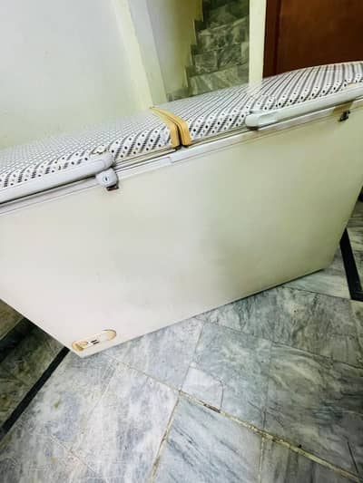 deep freezer (03248468747)