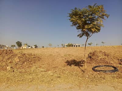 1 Kanal Plot Sector C Phase 4