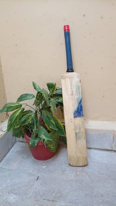 Original Babar Azam Autographed Cricket Bat – Pepsi Pakistan Promo