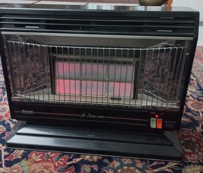 Rennae Gas Heater in Excellenct condition.