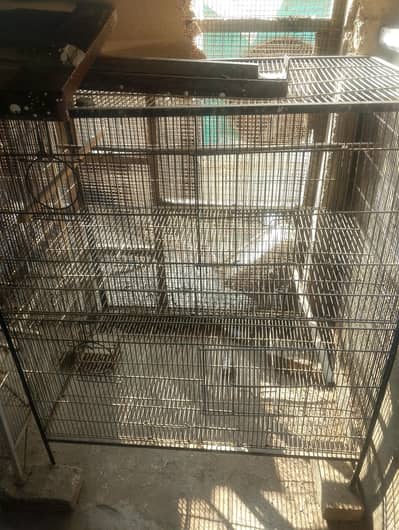 1.5 year strong used cages