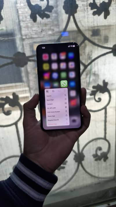 Iphone Xs Max Duel Pta