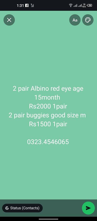 buggies and Love birds