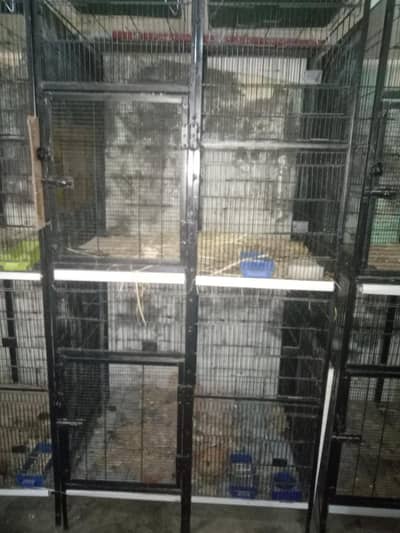 new cages 3 doubal portion