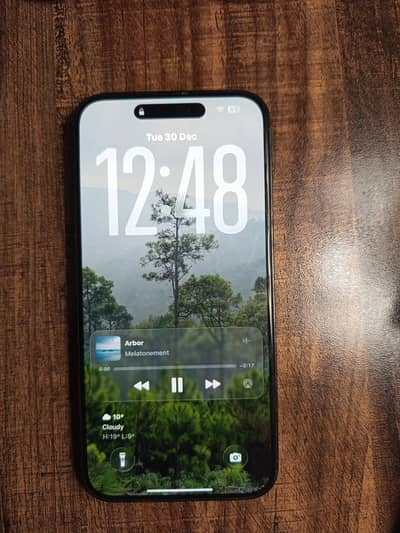 Iphone 14 Pro Max (256GB)