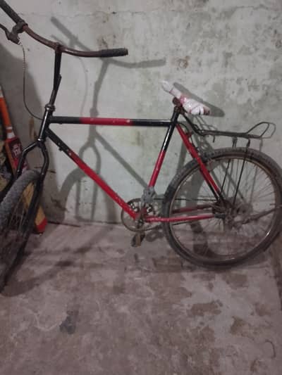 full size siycal ha sir pari pari thori raff ho Gai ha