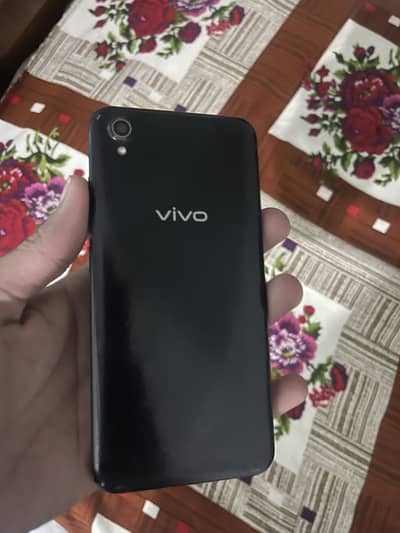 vivo . . .