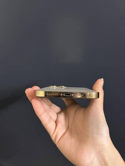 Iphone 12 pro max non pta