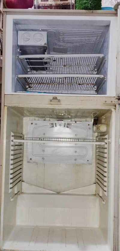 Pell Fridge Medium Size used