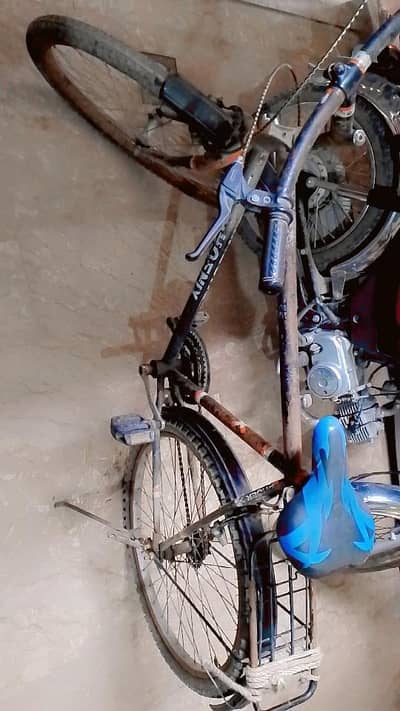 Cycle For Sale