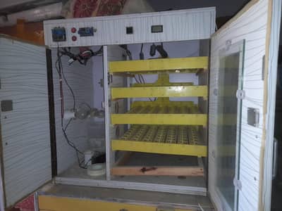 used incubator available 256 eggs