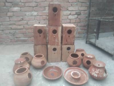 cage ka vazzan 50 kg