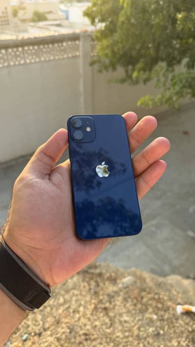 iPhone 12 mini JV
