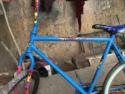 Phonix cycle wheeling