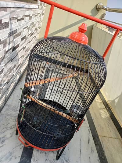 parrot cage